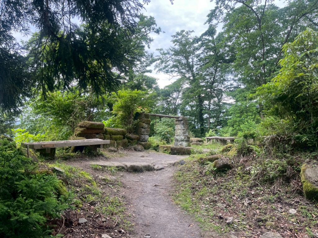 LINE_ALBUM_202567ノコギリ山_250621_170