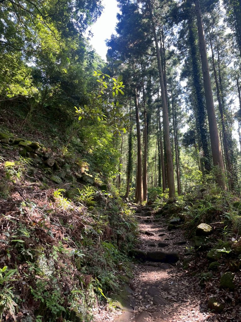 LINE_ALBUM_202567ノコギリ山_250621_230