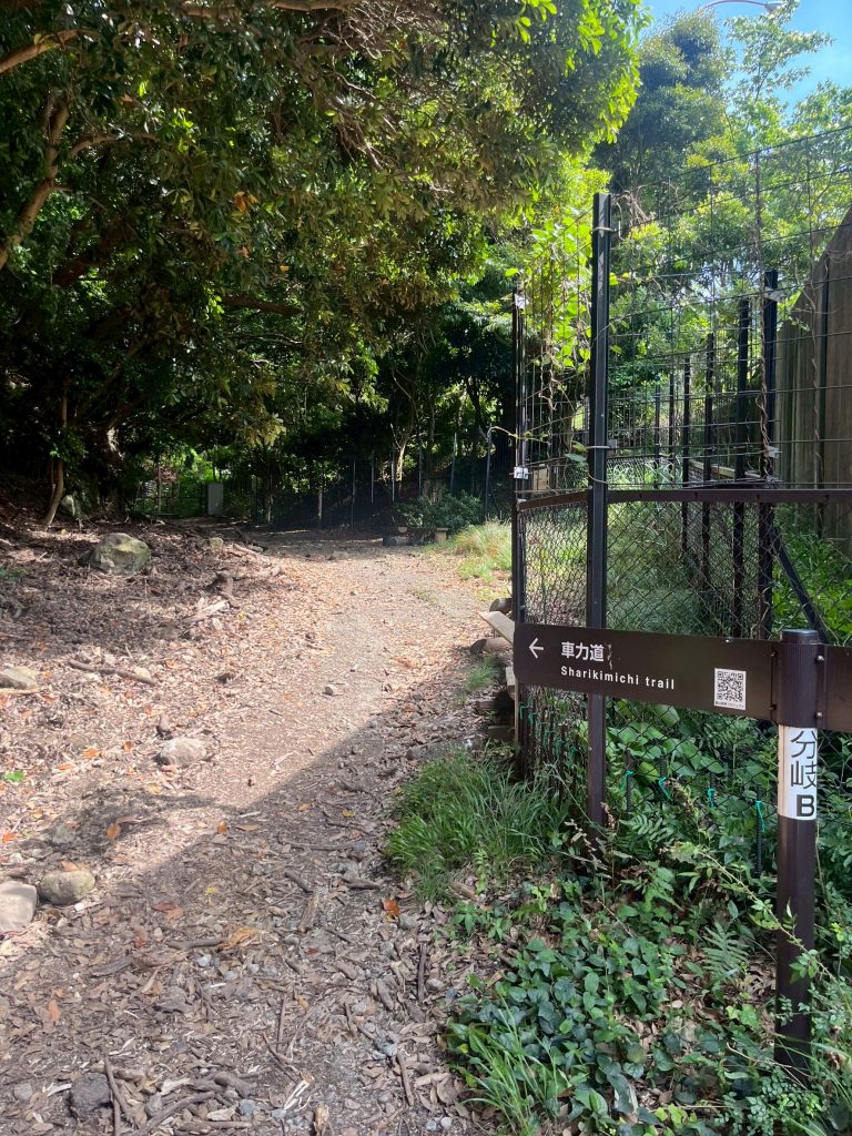 LINE_ALBUM_202567ノコギリ山_250621_215