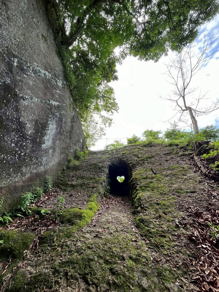 LINE_ALBUM_202567ノコギリ山_250621_244