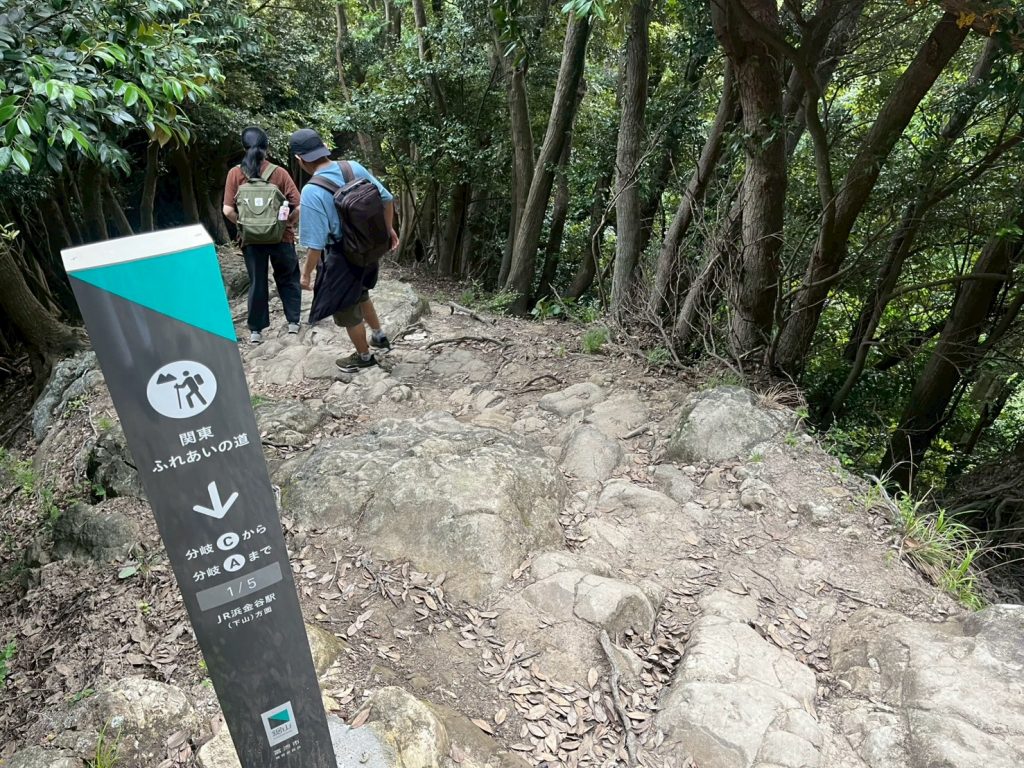 LINE_ALBUM_202567ノコギリ山_250621_190