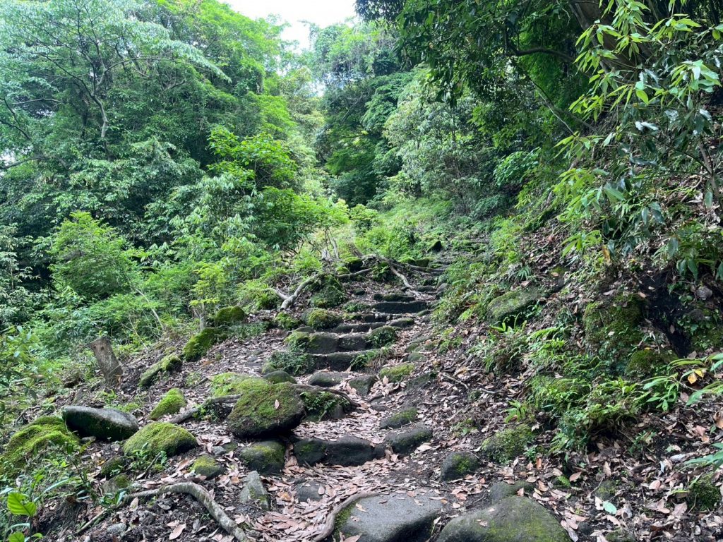 LINE_ALBUM_202567ノコギリ山_250621_32