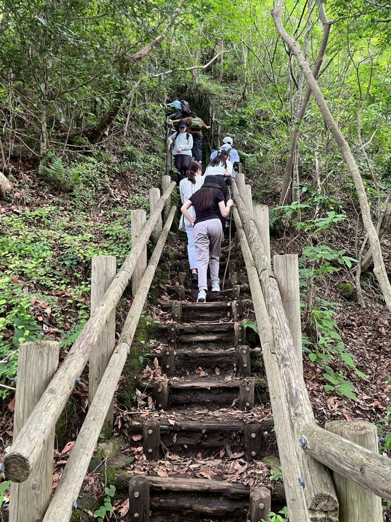 LINE_ALBUM_202567ノコギリ山_250621_330