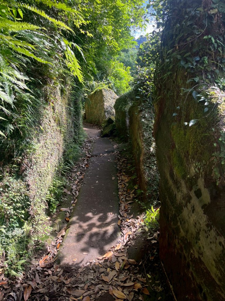 LINE_ALBUM_202567ノコギリ山_250621_229