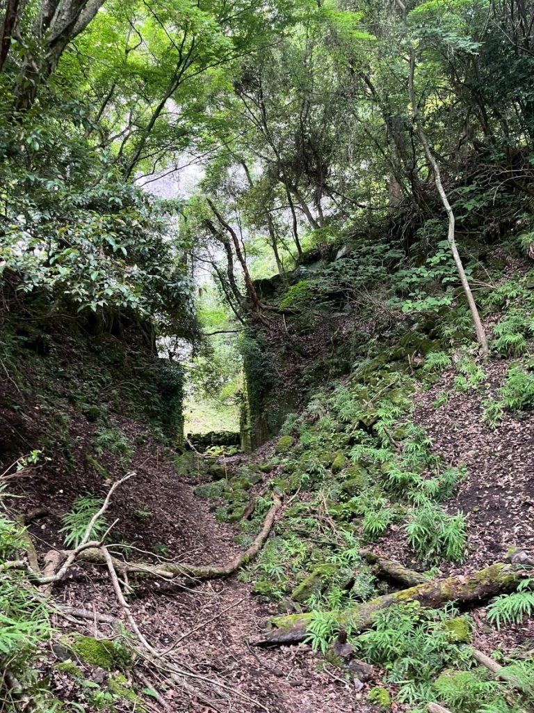 LINE_ALBUM_202567ノコギリ山_250621_402
