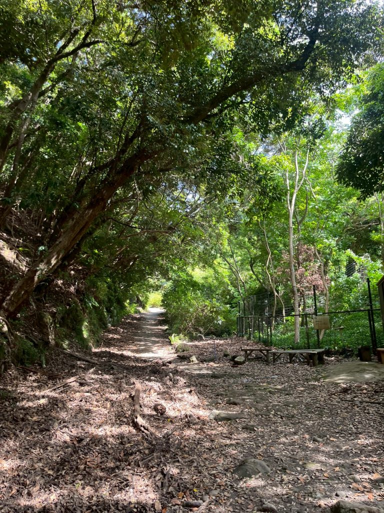 LINE_ALBUM_202567ノコギリ山_250621_216